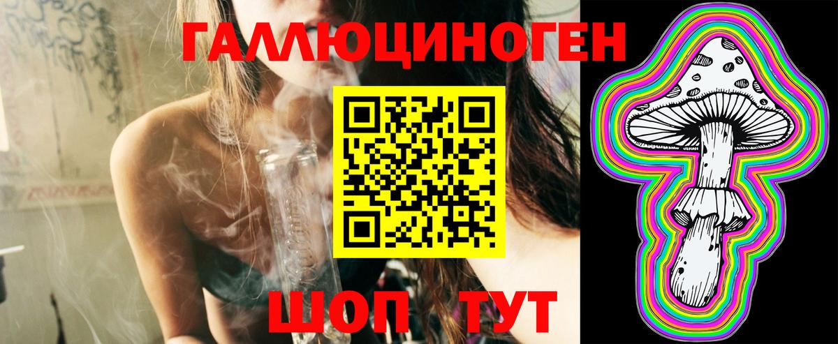 Галлюциногенные грибы Psilocybe  Вход с VPN  Щёлково 
